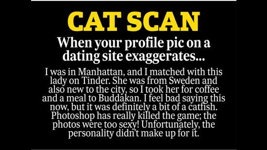 cat lady dating app