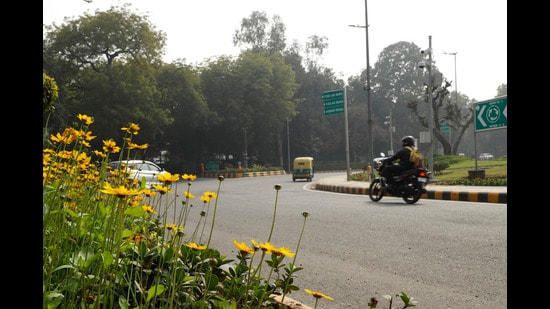 The Mathew Circle roundabout on Akbar Road is welcoming the season of blooms with a wide variety of pansies and salvias planted in neat rows. (Photo: Shantanu Bhattacharya/HT)