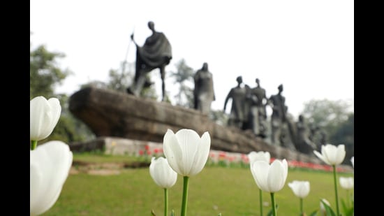 Spot bright bulbs of white and red tulips below the Gyarah Murti statue — one of the most prominent public sculptures of Delhi — blooming besides a thick green carpet of grass. (Photo: Shantanu Bhattacharya/HT)