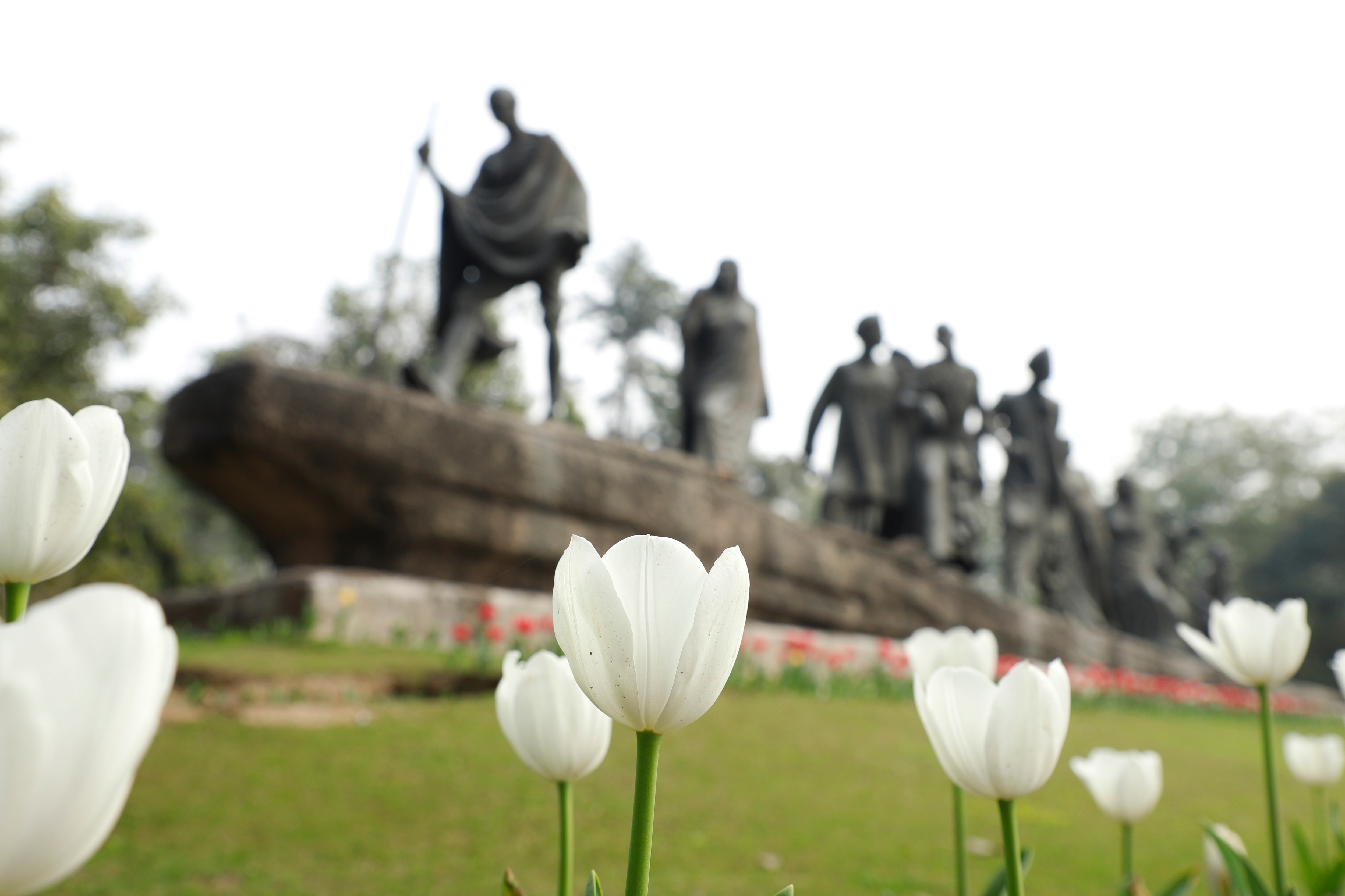 Spot bright bulbs of white and red tulips below the Gyarah Murti statue — one of the most prominent public sculptures of Delhi — blooming besides a thick green carpet of grass. (Photo: Shantanu Bhattacharya/HT) Spot bright bulbs of white and red tulips below the Gyarah Murti statue — one of the most prominent public sculptures of Delhi — blooming besides a thick green carpet of grass. (Photo: Shantanu Bhattacharya/HT)