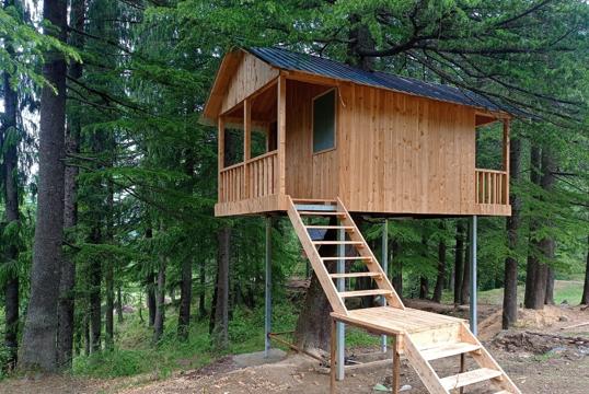 Two log huts, a water harvesting structure, an internal tank, a 5KW power generation project, bird nests, and a sales centre have been set up at the biodiversity park as well. (HT Photo) Two log huts, a water harvesting structure, an internal tank, a 5KW power generation project, bird nests, and a sales centre have been set up at the biodiversity park as well. (HT Photo)