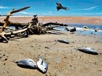 According to the United Nations weather agency, the growing trend of disasters is expected to continue at least till the 2060s. (AFP) According to the United Nations weather agency, the growing trend of disasters is expected to continue at least till the 2060s. (AFP)