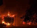 In the last year, the world has seen a cascade of unprecedented floods, heatwaves and wildfires across four continents.(AFP Photo. Representative image)
