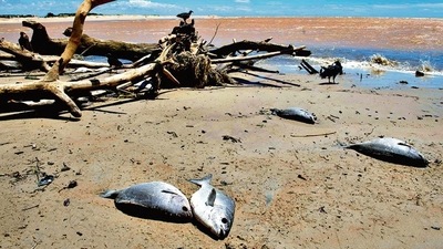 According to the United Nations weather agency, the growing trend of disasters is expected to continue at least till the 2060s. (AFP) According to the United Nations weather agency, the growing trend of disasters is expected to continue at least till the 2060s. (AFP)