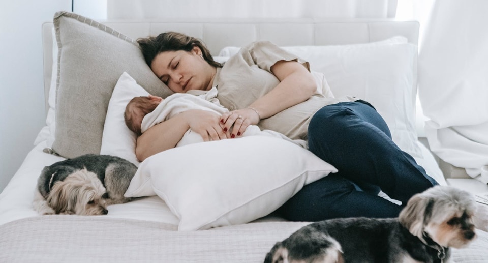 Hormonal changes in the immediate postpartum period like decline of progesterone due to its sedative properties and changes in melatonin levels can affect circadian rhythms (Pexels) Hormonal changes in the immediate postpartum period like decline of progesterone due to its sedative properties and changes in melatonin levels can affect circadian rhythms (Pexels)
