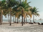 Vietnam's tourism ministry on Tuesday proposed a full reopening of the country to foreign visitors and a lifting of nearly all travel restrictions from March 15, three months earlier than planned. Vietnam's tourism ministry on Tuesday proposed a full reopening of the country to foreign visitors and a lifting of nearly all travel restrictions from March 15, three months earlier than planned.