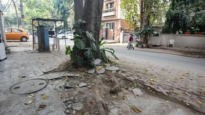 The concretised and cemented surroundings of a tree, now dug-up. The Delhi government counsel submitted that a tree survey/census be conducted in the Inderpuri area one the lines of the one done in Vasant Vihar in another sub judice matter. (Representative image/HT Archive)
