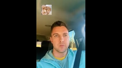 A screengrab from the video where a man ‘confessed’ why he got two puppies instead of one. (instagram/@melissa_arvik) A screengrab from the video where a man ‘confessed’ why he got two puppies instead of one. (instagram/@melissa_arvik)