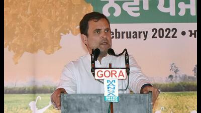 Congress leader Rahul Gandhi addressing a gathering in Mansa on Tuesday. (Sanjeev Kumar/ht) Congress leader Rahul Gandhi addressing a gathering in Mansa on Tuesday. (Sanjeev Kumar/ht)