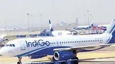 An IndiGo commercial flight (Image used only for representation)