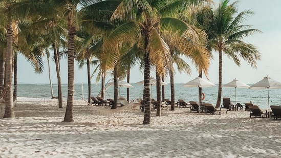 Vietnam's tourism ministry on Tuesday proposed a full reopening of the country to foreign visitors and a lifting of nearly all travel restrictions from March 15, three months earlier than planned.(Unsplash) Vietnam's tourism ministry on Tuesday proposed a full reopening of the country to foreign visitors and a lifting of nearly all travel restrictions from March 15, three months earlier than planned.(Unsplash)
