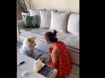 Malaika Arora posted a cute video of celebrating her dog’s birthday on Instagram.(malaikaaroraofficial/Instagram ) Malaika Arora posted a cute video of celebrating her dog’s birthday on Instagram.(malaikaaroraofficial/Instagram )