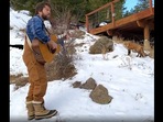 Screengrab from the video that shows a fox listening to a man play his guitar and sing. (instagram/@_thornpipe_) Screengrab from the video that shows a fox listening to a man play his guitar and sing. (instagram/@_thornpipe_)