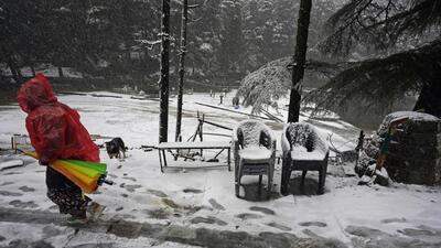 Light rainfall or snowfall is likely in Himachal Pradesh from February 17 to 20. (AP/File)