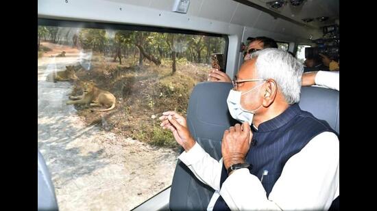 Bihar CM Nitish Kumar during the zoo safari at Rajgir on Wednesday. (Santosh Kumar/HT Photo)