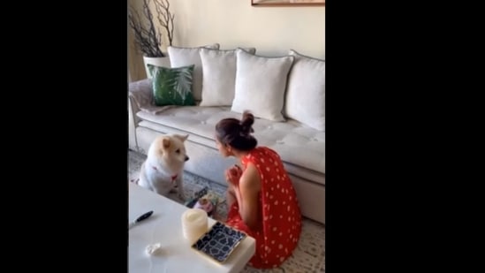 Malaika Arora posted a cute video of celebrating her dog’s birthday on Instagram.(malaikaaroraofficial/Instagram )