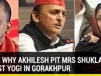 HERE’S WHY AKHILESH PIT MRS SHUKLA AGAINST YOGI IN GORAKHPUR