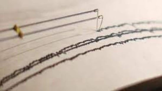 The National Centre of Seismology confirmed the seismic movement at depth of 5km near Katra. (Representative Photo/Reuters)