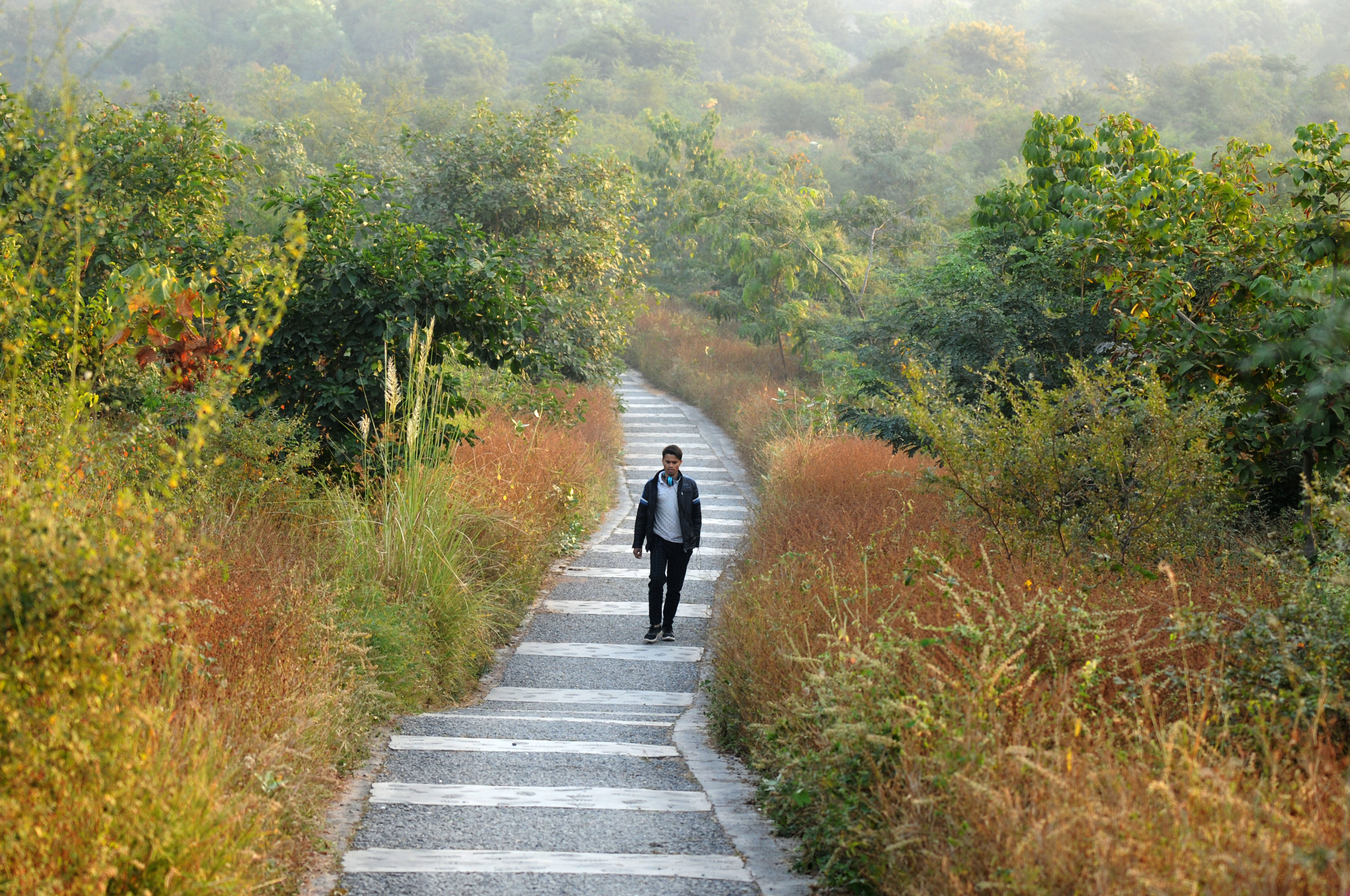 The rules formulated in 2004 nullified the role of biodiversity management committees (BMCs) and violated intellectual property rights. Consequently, BMCs were either never constituted or remained meaningless.&nbsp; (HT Photo)