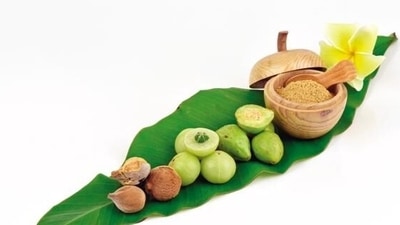 Trikatu: It is an ayurvedic formulation consisting of 3 herbs - Marich, Pippali and Shunthi (Shutterstock) Trikatu: It is an ayurvedic formulation consisting of 3 herbs - Marich, Pippali and Shunthi (Shutterstock)