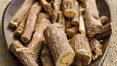 Yastimadhu (Mulethi/Licorice root): It can be consumed in the form of tea, concoction or churna. (Pixabay) Yastimadhu (Mulethi/Licorice root): It can be consumed in the form of tea, concoction or churna. (Pixabay)