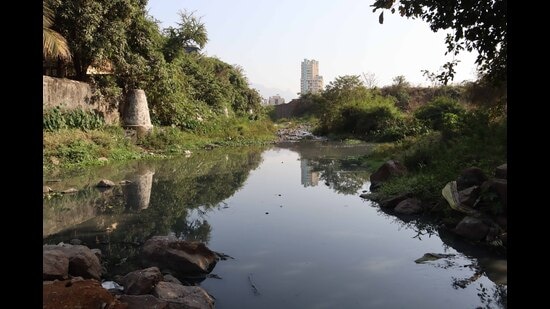 Waldhuni River is polluted. Ambernath MIDC tells companies to fix GPS on tankers to curb discharge of effluents in water bodies. (RISHIKESH CHOUDHARY/HT PHOTO)