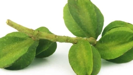 Arjun herb: It is best for heart. Its bark can be added to milk as arjun tea at bedtime or arjun chal can be had as a concotion in morning. Even arjun tablet can be consumed daily.
