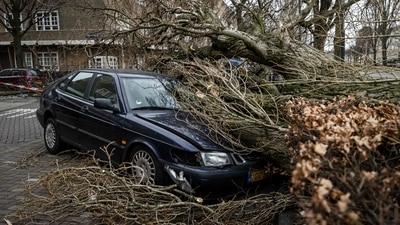 A woman was killed in London when a car in which she was travelling was crushed by a tree and a man in a vehicle in Liverpool died due to flying debris. (AFP) A woman was killed in London when a car in which she was travelling was crushed by a tree and a man in a vehicle in Liverpool died due to flying debris. (AFP)