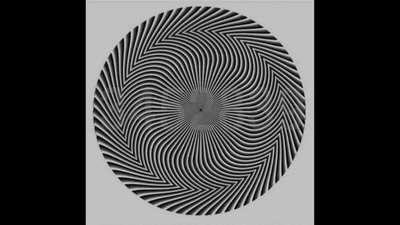 The image shared on Twitter shows the viral optical illusion. (Twitter/@benonwine) The image shared on Twitter shows the viral optical illusion. (Twitter/@benonwine)