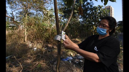 A resident tags a sapling at the periphery of a playground at Sector 35-H Plot No. 1, Kharghar. The residents carry out beautification work around the ground to prevent encroachment. (BACHCHAN KUMAR/HT PHOTO)