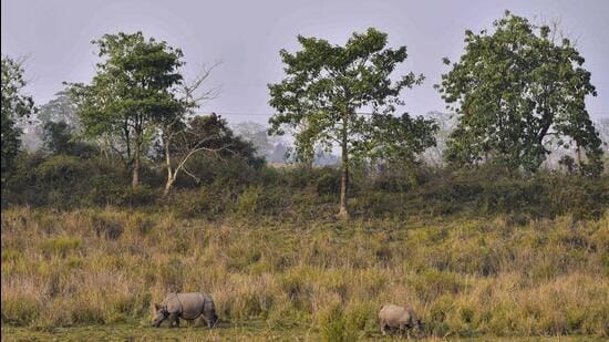 In April 2019, the Supreme Court banned all new constructions on the animal corridors in Assam’s Kaziranga National Park and Tiger Reserve (KNPTR) and ordered removal of the existing structures. (PTI)