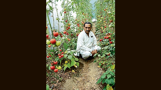 ZBNF, a technique of farming developed by Padma awardee Subhash Palekar of Maharashtra, aims to bring down input costs by making farmers rely on natural inputs, shifting away from agricultural chemicals, which has degraded soils heavily in states such as Punjab. ZBNF, a technique of farming developed by Padma awardee Subhash Palekar of Maharashtra, aims to bring down input costs by making farmers rely on natural inputs, shifting away from agricultural chemicals, which has degraded soils heavily in states such as Punjab.