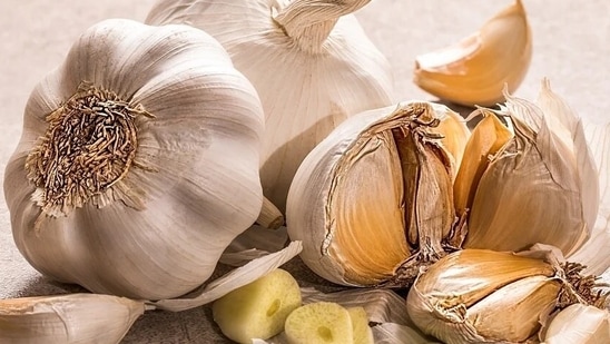 Garlic: Garlic is also a common ingredient used in a variety of cooking. In spite of being a galactagogue it may rarely cause gastric issues, especially in individuals who are allergic to garlic. So, in such cases better to reduce the quantity.(Pixabay)