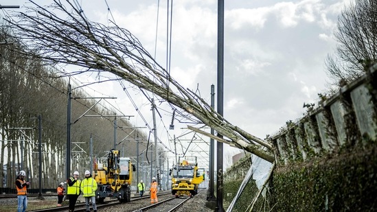 More than 200,000 British homes still without power after Storm Eunice ...