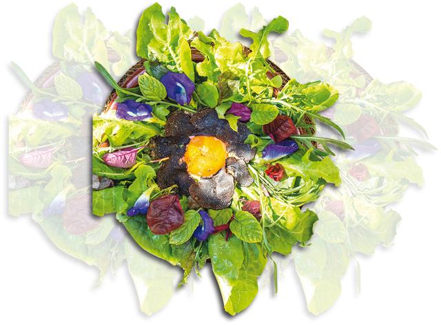 Mads Refslund’s menu included a salad of leaves from the restaurant’s garden and just had a little egg (cooked) and black truffles Mads Refslund’s menu included a salad of leaves from the restaurant’s garden and just had a little egg (cooked) and black truffles