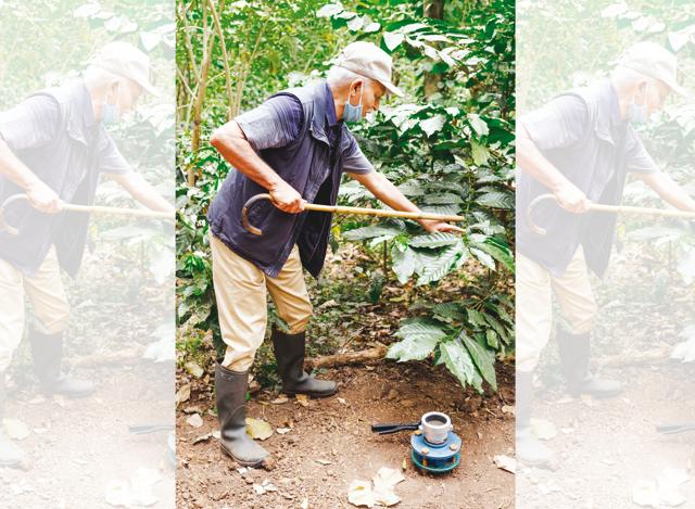 There are enough experiences in Coorg to set it apart from other destinations (Airbnb) There are enough experiences in Coorg to set it apart from other destinations (Airbnb)