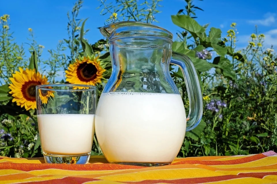 Drinking milk didn't make us lactose tolerant, study says (Pixabay) Drinking milk didn't make us lactose tolerant, study says (Pixabay)