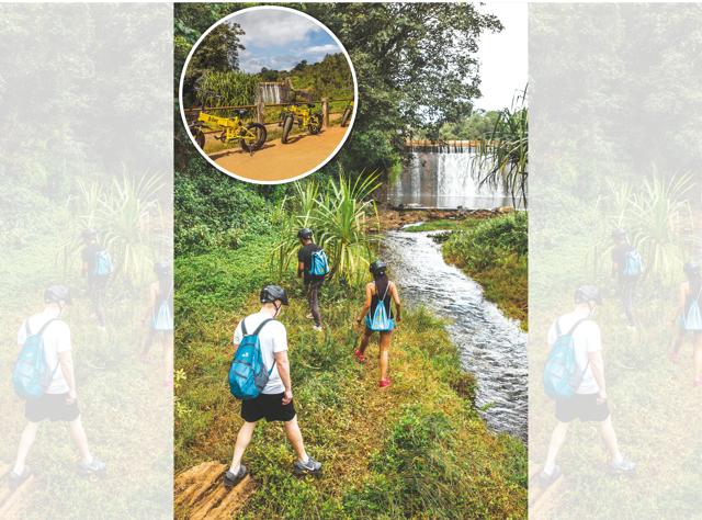 You can spend hours meandering through coffee plantations, hillside roads and picture perfect villages (Airbnb) You can spend hours meandering through coffee plantations, hillside roads and picture perfect villages (Airbnb)