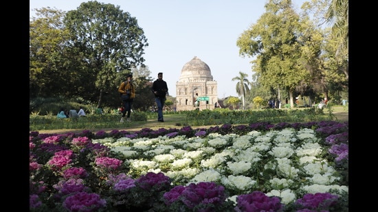 Ornamental cabbage flowers overlook the monuments at the Lodhi Gardens. (Photo: Dhruv Sethi/HT)