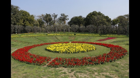 Catch a beautiful arrangement of marigolds, salvias and petunias at Delhi’s Nehru Park, which is blooming in the spring season. (Photo: Dhruv Sethi/HT)