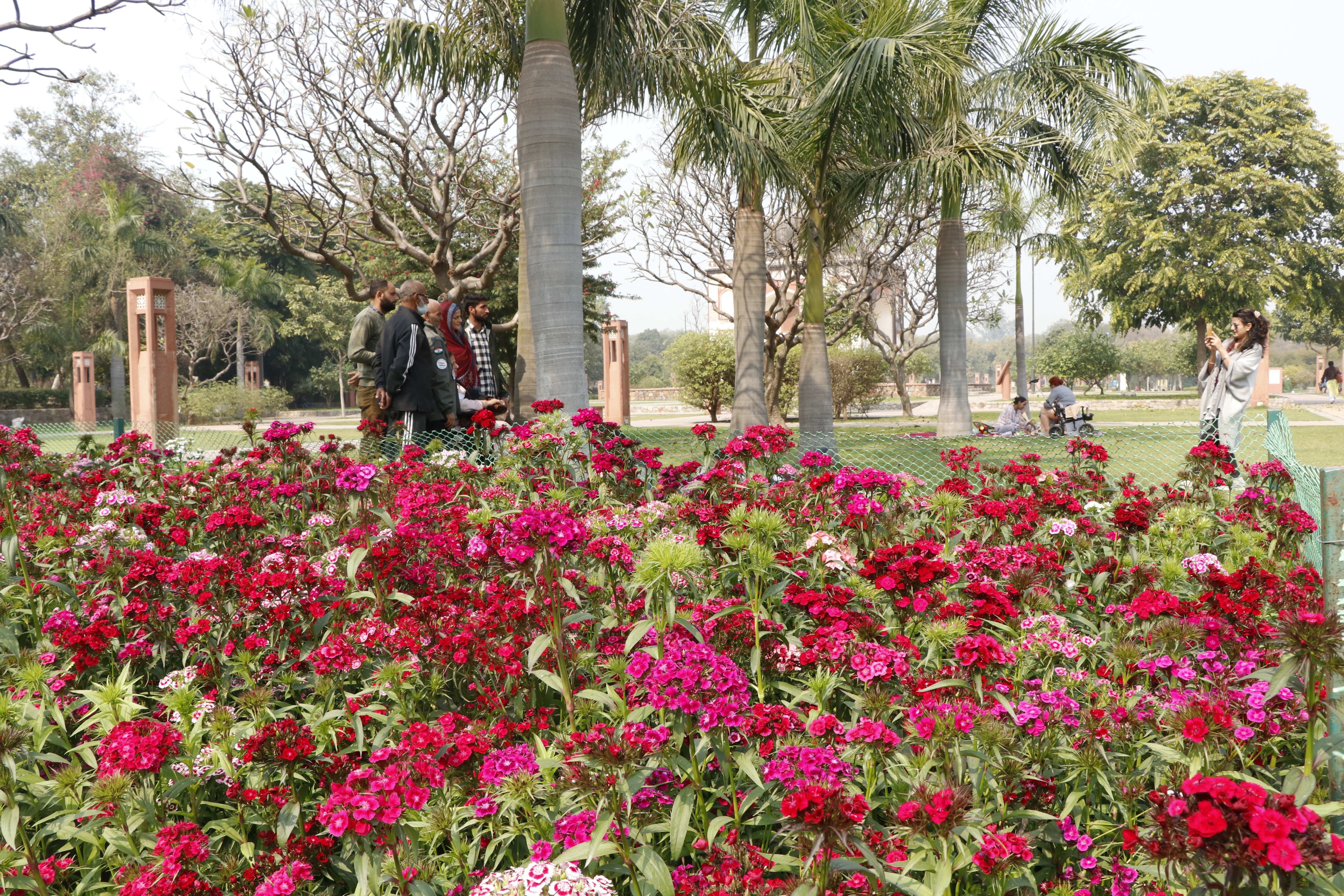Sunder Nursery is a paradise for picnickers, who are spending their afternoons soaking in the sun and breathing fragrant air. (Photo: Dhruv Sethi/HT) Sunder Nursery is a paradise for picnickers, who are spending their afternoons soaking in the sun and breathing fragrant air. (Photo: Dhruv Sethi/HT)