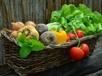 The results from the powerful, large-scale study showed that higher consumption of cooked or uncooked vegetables is unlikely to affect the risk of CVD. The results from the powerful, large-scale study showed that higher consumption of cooked or uncooked vegetables is unlikely to affect the risk of CVD.