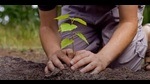 The first two saplings will be planted by the first female and male voters while the third one will be planted by the polling party. (HT File Photo) The first two saplings will be planted by the first female and male voters while the third one will be planted by the polling party. (HT File Photo)