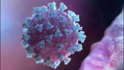 The total count of Covid cases in the Ludhiana has reached 1,09,616, out of which 1,07,213 patients have recovered and 2,272 have succumbed to the virus. (HT File) The total count of Covid cases in the Ludhiana has reached 1,09,616, out of which 1,07,213 patients have recovered and 2,272 have succumbed to the virus. (HT File)