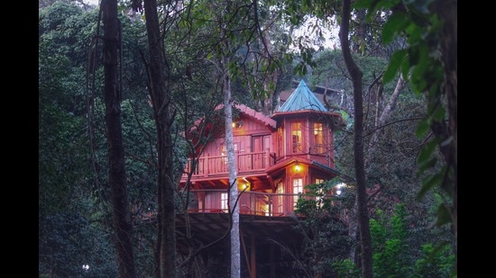 According to senior BMC officials, the height of the treehouse will be similar to that of a two-storeyed building (HT FILE) According to senior BMC officials, the height of the treehouse will be similar to that of a two-storeyed building (HT FILE)