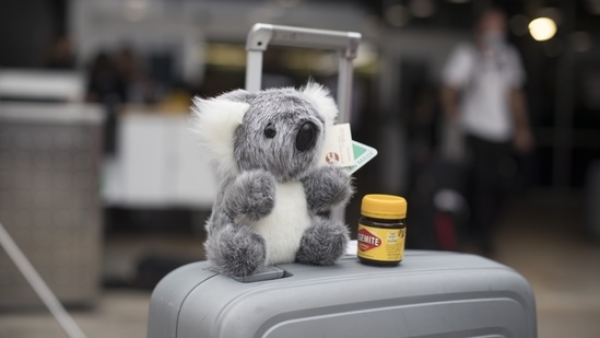 A stuffed koala toy and a jar of Vegemite on a suitcase at Sydney Airport in Sydney, Australia, on Monday, Feb. 21, 2022. Australia reopened its international borders to double-vaccinated visitors today, following almost two years of strict travel bans introduced to stem the spread of Covid-19. (Bloomberg) A stuffed koala toy and a jar of Vegemite on a suitcase at Sydney Airport in Sydney, Australia, on Monday, Feb. 21, 2022. Australia reopened its international borders to double-vaccinated visitors today, following almost two years of strict travel bans introduced to stem the spread of Covid-19. (Bloomberg)