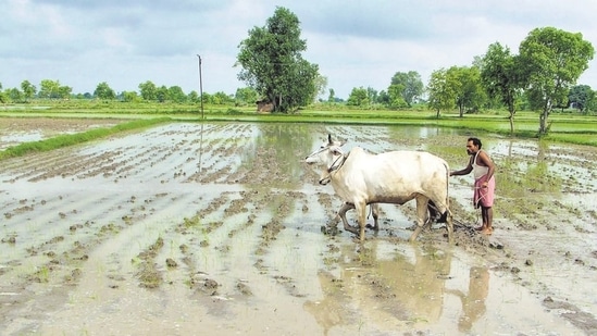 The farm ministry is considering proposals for providing equity grants, management costs and other support measures for agri-tech led startups. (REUTERS)