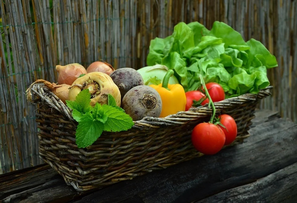 The results from the powerful, large-scale study showed that higher consumption of cooked or uncooked vegetables is unlikely to affect the risk of CVD. (Pixabay) The results from the powerful, large-scale study showed that higher consumption of cooked or uncooked vegetables is unlikely to affect the risk of CVD. (Pixabay)