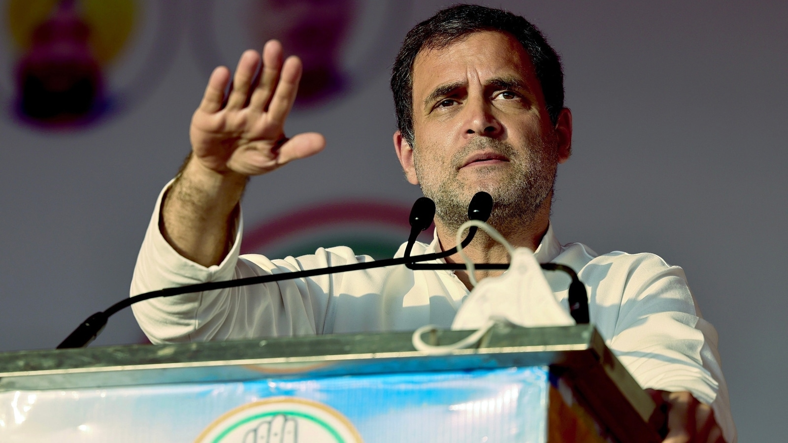 Focus on Cong prez pick amid polls | Latest News India - Hindustan Times