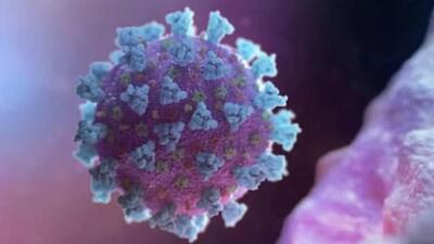 Ludhiana currently has 113 active Covid cases. (HT File/Representational image)